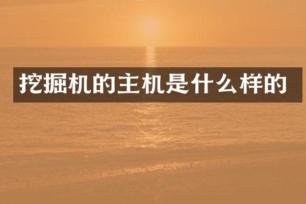 挖掘机的主机是什么样的