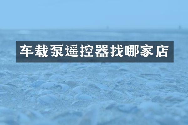 车载泵遥控器找哪家店