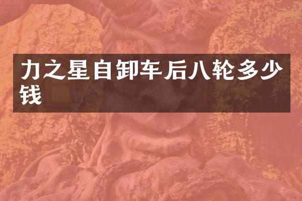 力之星自卸车后八轮多少钱
