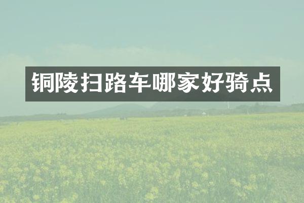 铜陵扫路车哪家好骑点