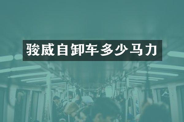 骏威自卸车多少马力