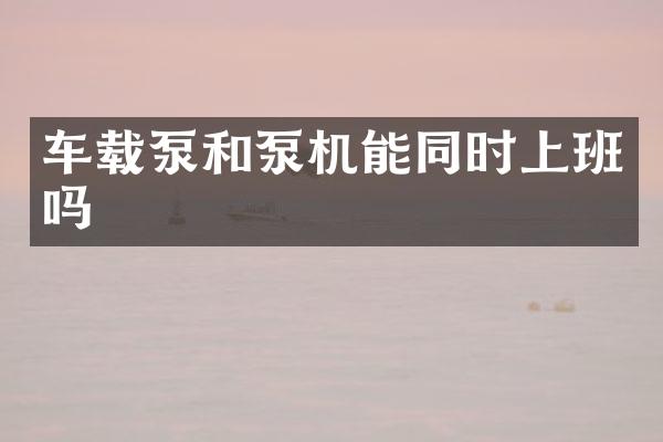 车载泵和泵机能同时上班吗
