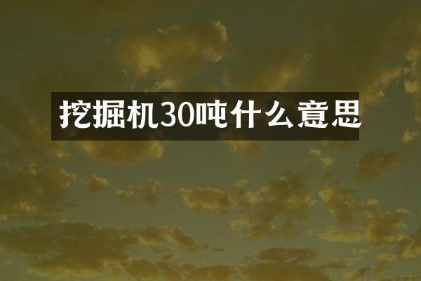 挖掘机30吨什么意思